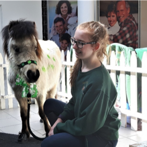 cody small pony with girl