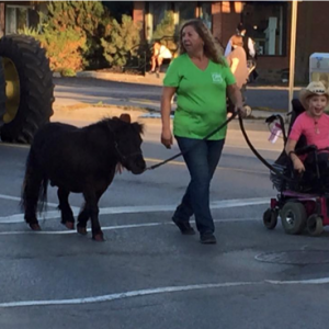 Gunner Pony being led